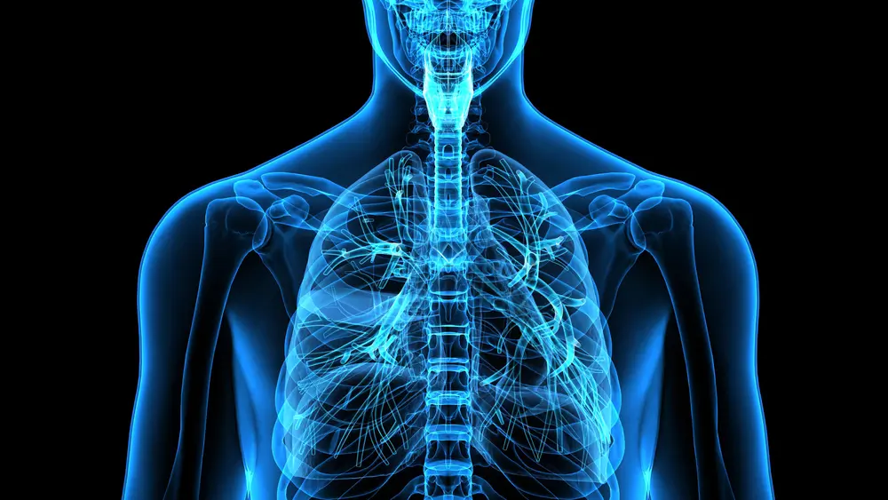 Anatomy and Physiology Course